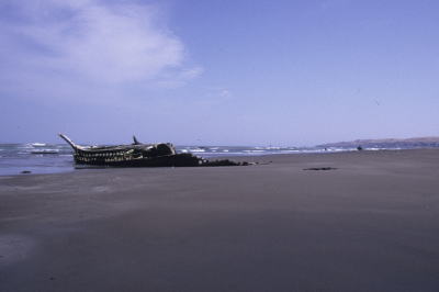 写真：百人浜