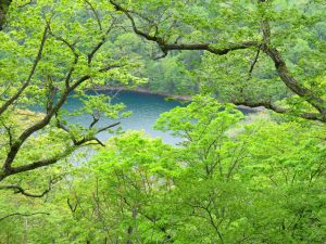沼見峠からのぞむ豊似湖