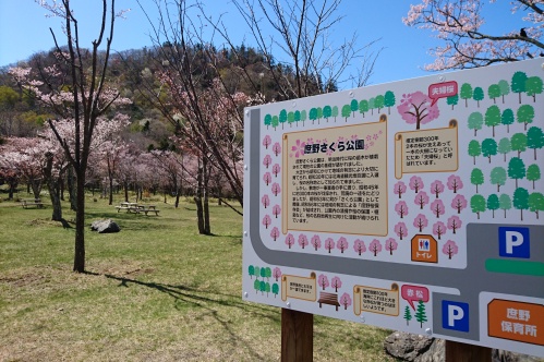 さくら公園案内看板の写真