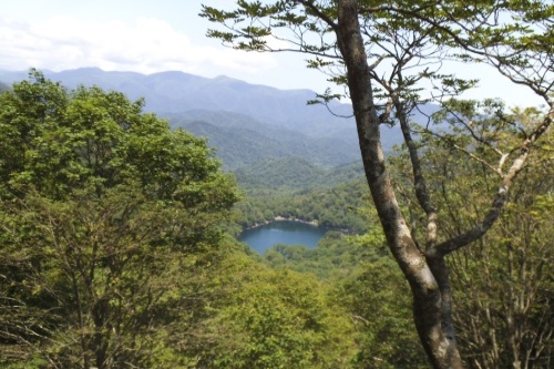 沼見峠からの眺め