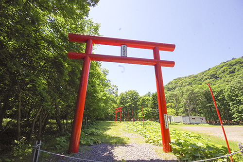 鳥居の写真