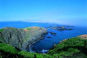 海岸の写真