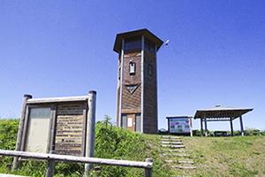 観察塔の写真