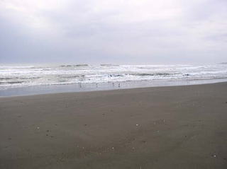 穏やかな波が寄せる百人浜