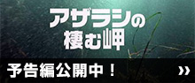 アザラシの棲む岬　予告編公開中 