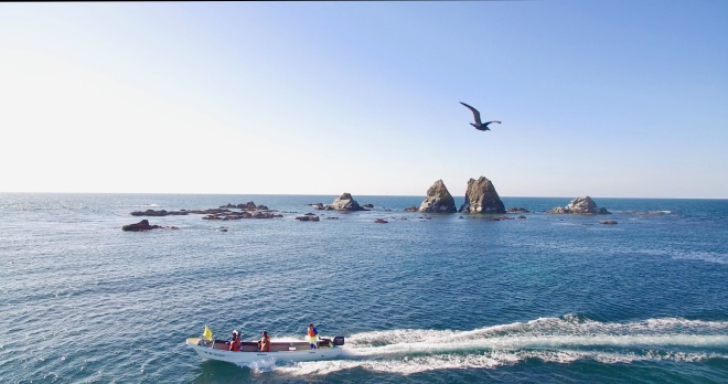 コンブボートクルーズ