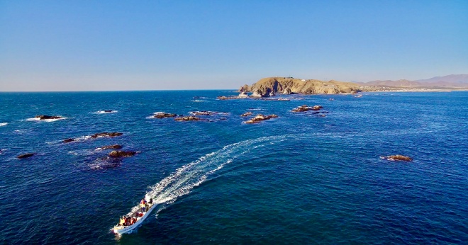 コンブボートクルーズ