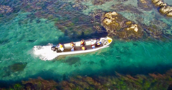 コンブボートクルーズ